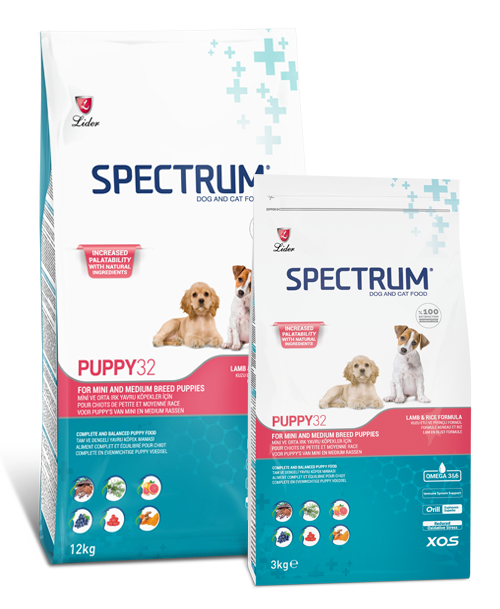 Spectrum Puppy Spectrum