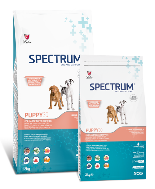 Spectrum Starter Spectrum