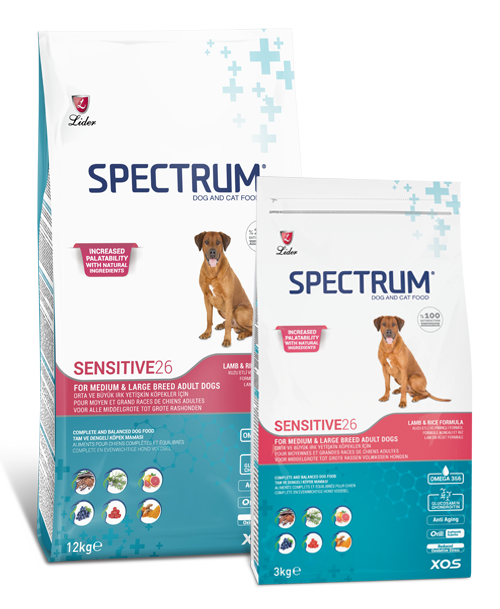 Spectrum Spectrum