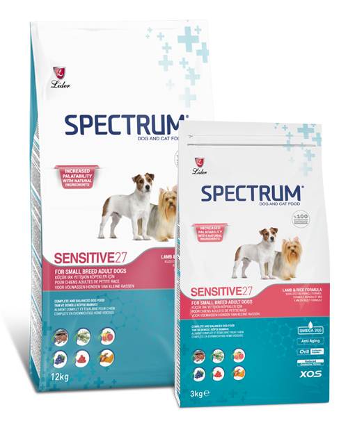 Spectrum Starter Spectrum